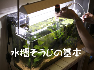 水槽そうじの基本