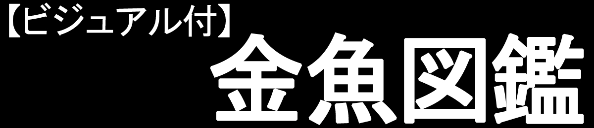 金魚の図鑑　【ビジュアルで解説】