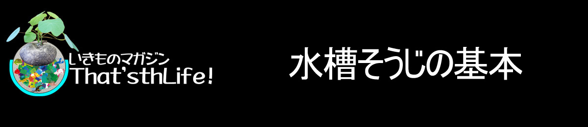 水槽そうじの基本