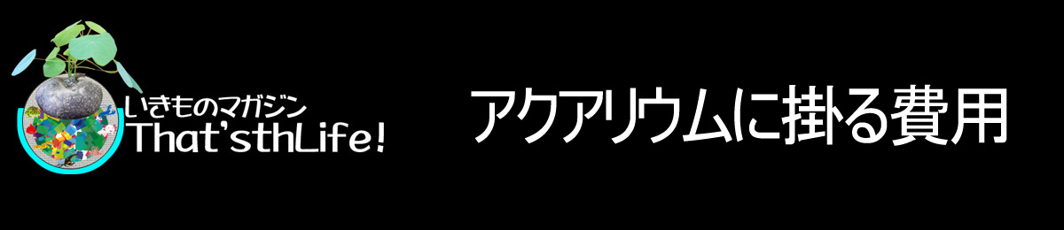 アクアリウムってどのぐらいお金がかかるの？