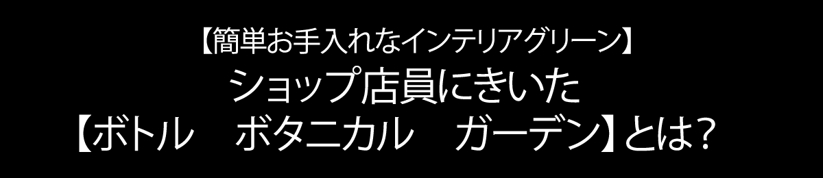 【お手入れ簡単インテリアグリーン】"