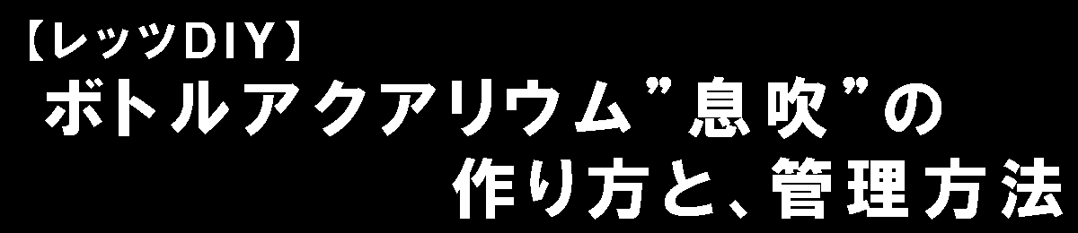 【レッツＤＩＹ♪】おしゃれで簡単♪新緑の息吹がきこえるグラスアクアリウム"