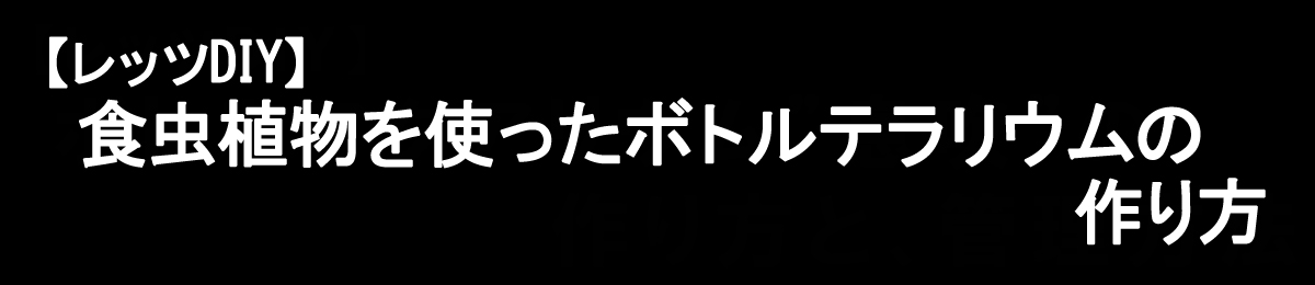 【レッツＤＩＹ♪】お手入れ簡単♪自分だけの小さな庭ボトルテラリウム"