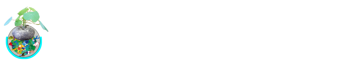 記事タイトル