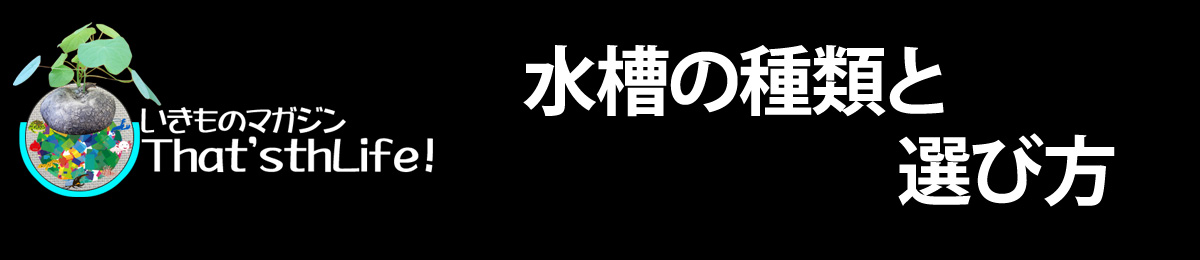 水槽を選ぼう