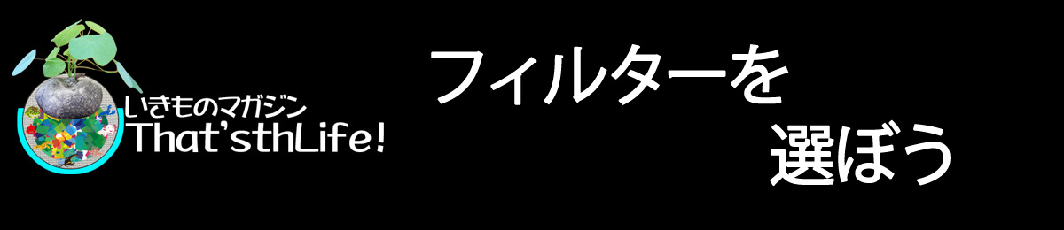 フィルターを選ぼう